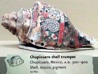 conch shell trumpet with snake drawing